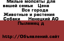 Милые мопсяты для вашей семьи › Цена ­ 20 000 - Все города Животные и растения » Собаки   . Ненецкий АО,Пылемец д.